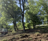 земля 5.6 сот городской округ Сочи