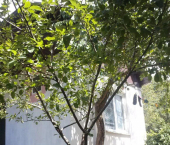 коттедж 32 кв м Центральная площадь, 1