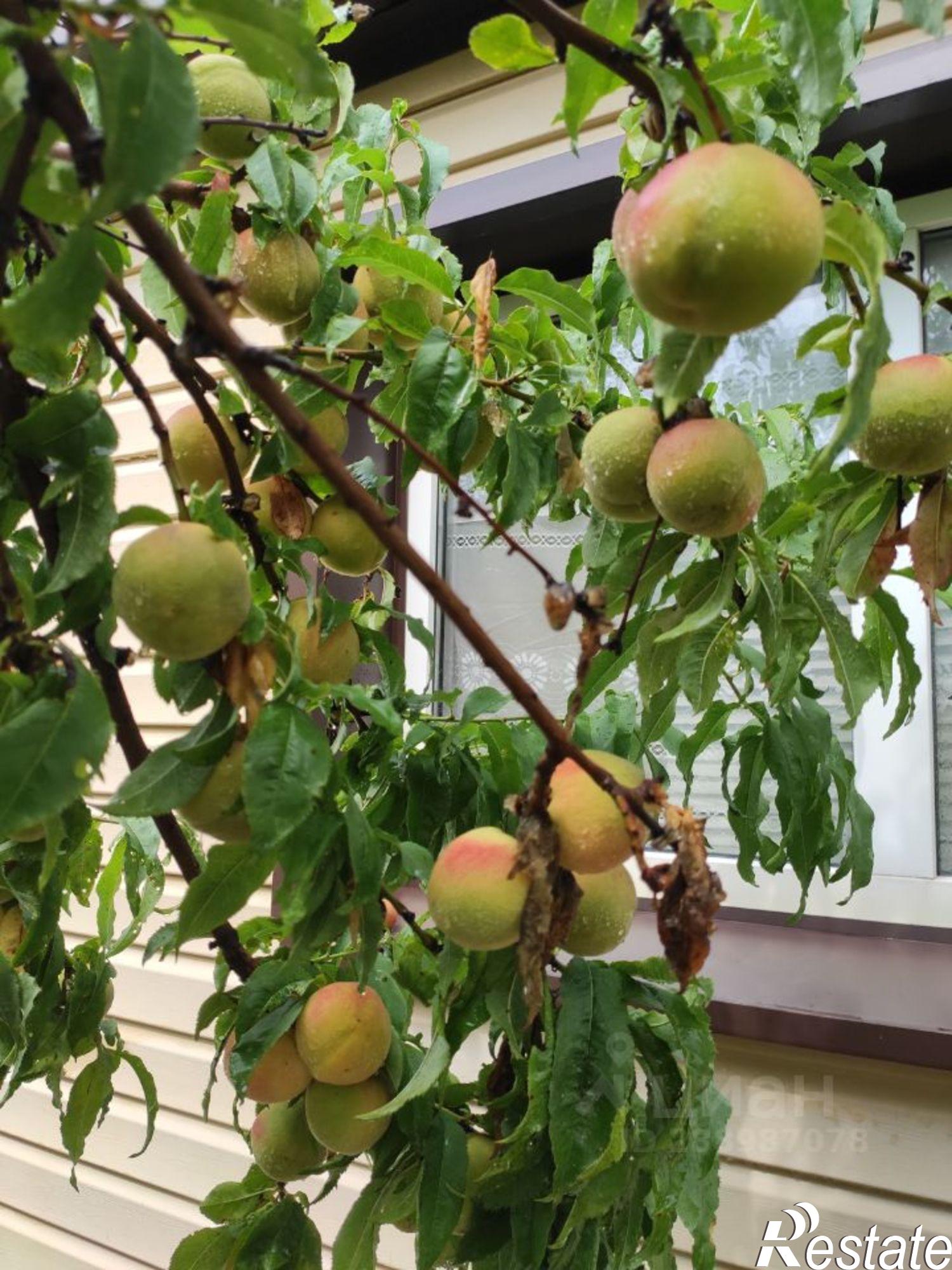 Купить дачу, дом, коттедж за 7 000 000 рублей на улица Калинина, 95