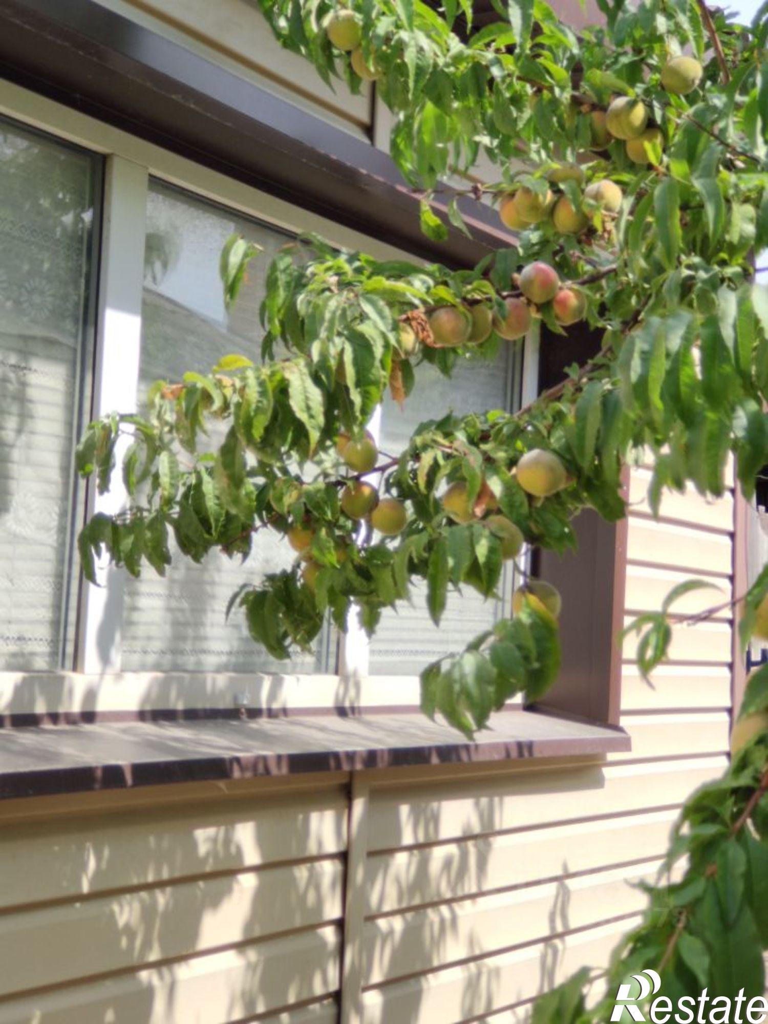 Купить дачу, дом, коттедж за 7 000 000 рублей на улица Калинина, 95