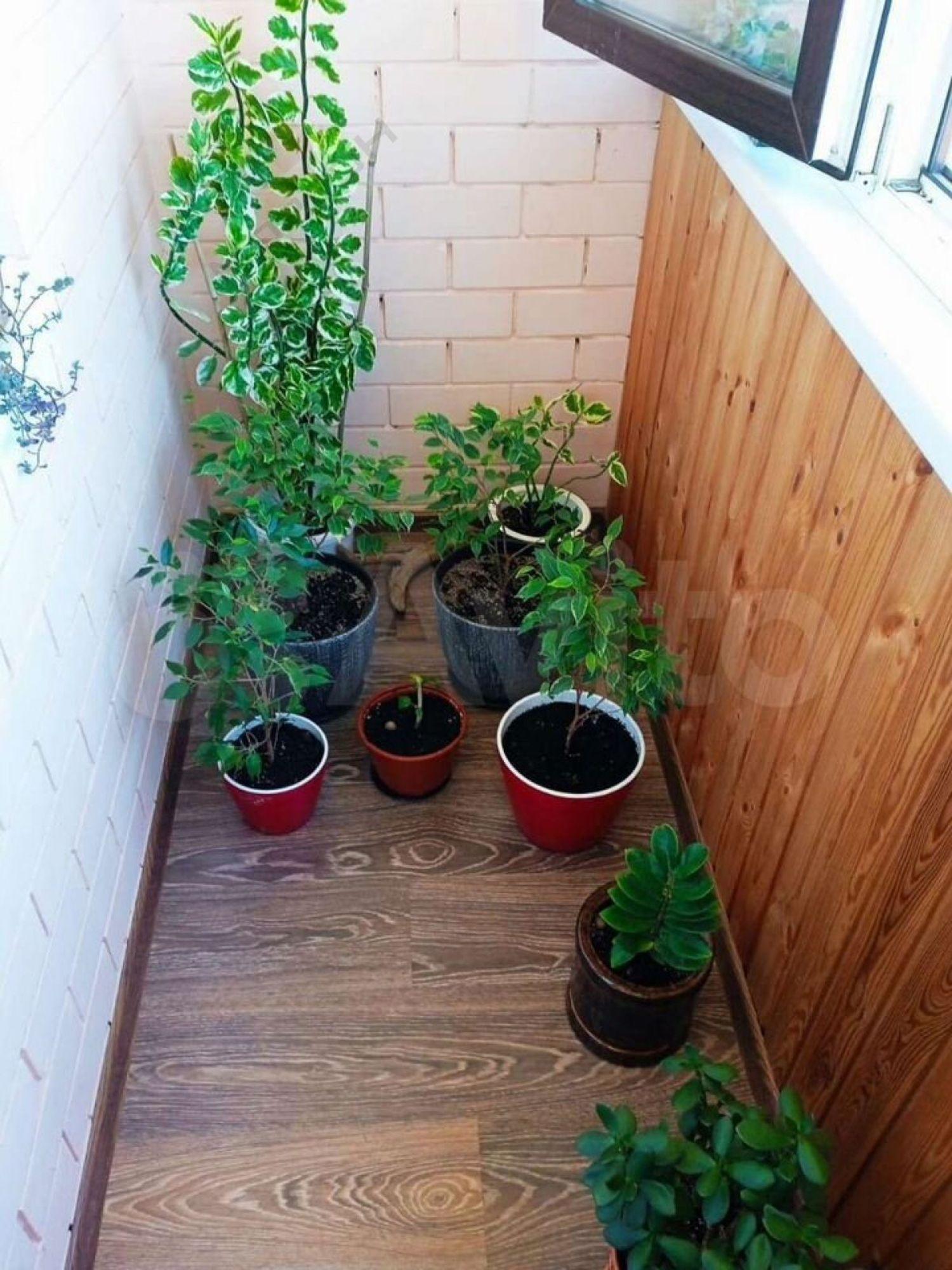 Купить квартиру за 4 400 000 рублей на Краснодарская ул, 5