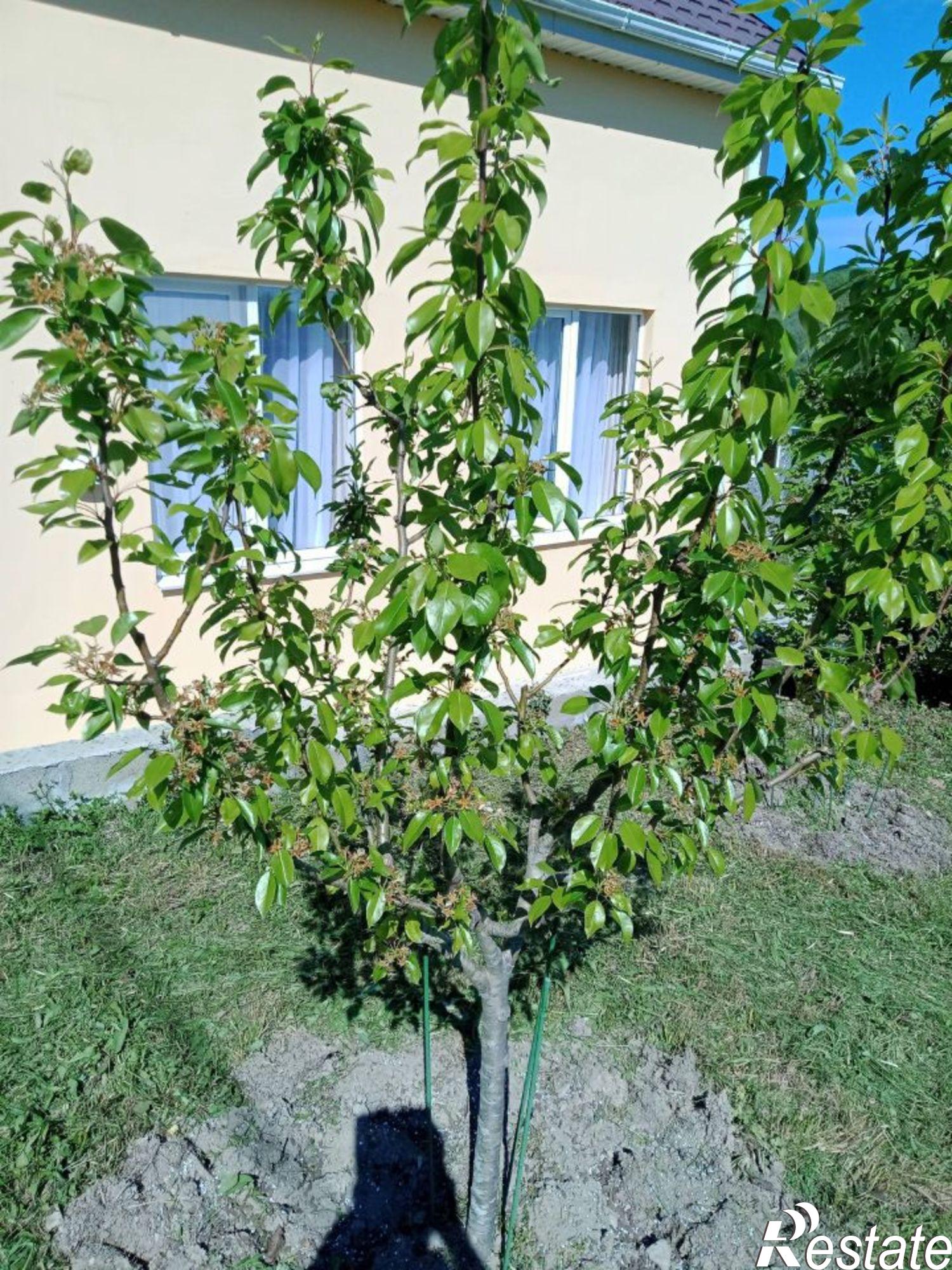 Купить дачу, дом, коттедж за 12 000 000 рублей на улица Логвинова, 2А