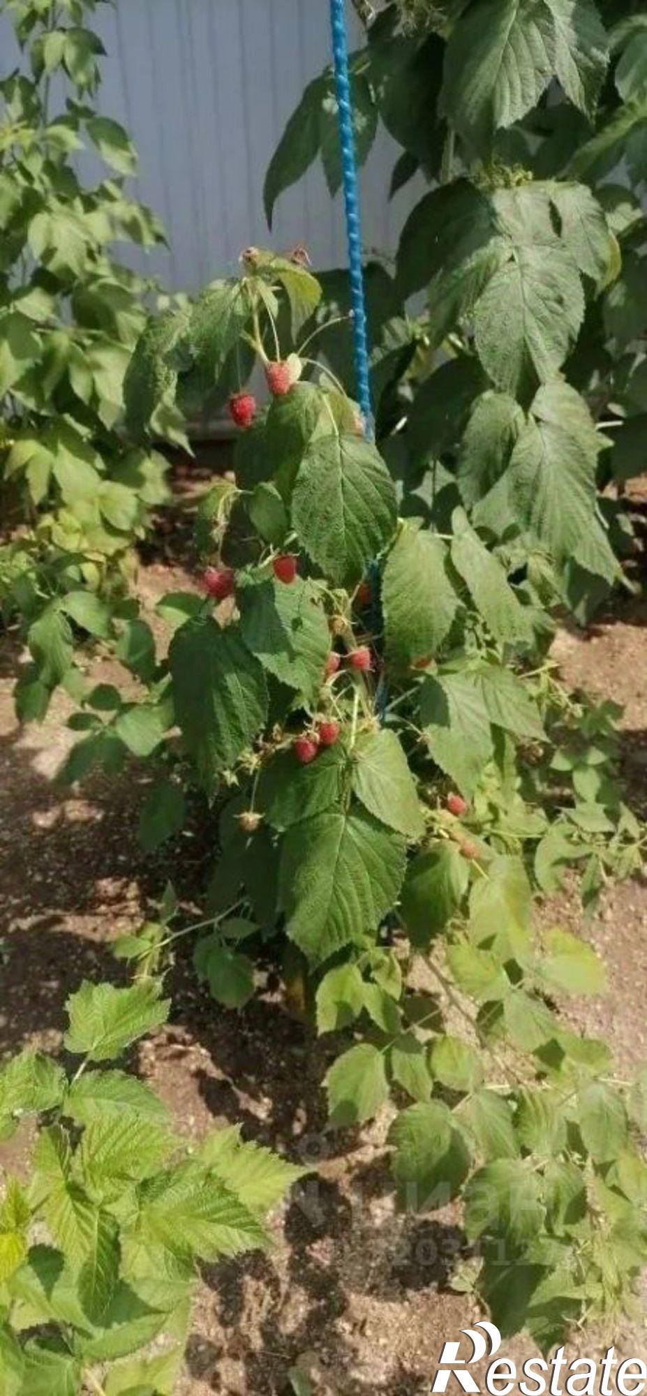 Купить дачу, дом, коттедж за 8 300 000 рублей на станица Северская