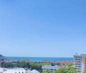 1-комн, 21кв м, этаж 9/9 Пионерский проспект, 20