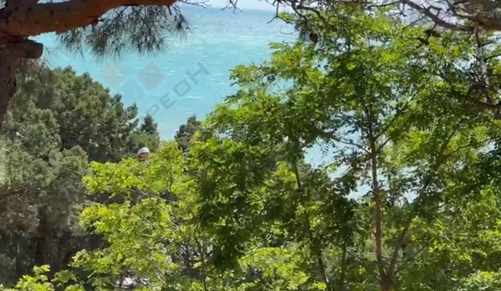 Отдельное здание Сухумское ш, 2А