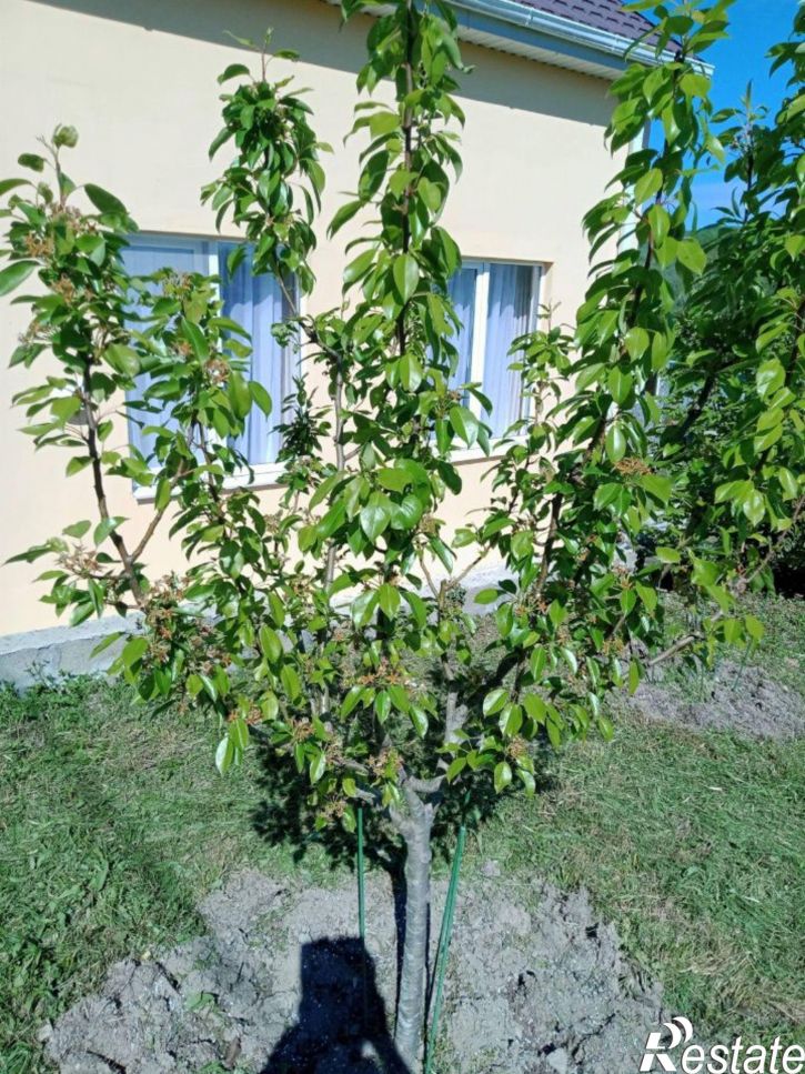 Коттедж/дом улица Логвинова, 2А,  д. 2А