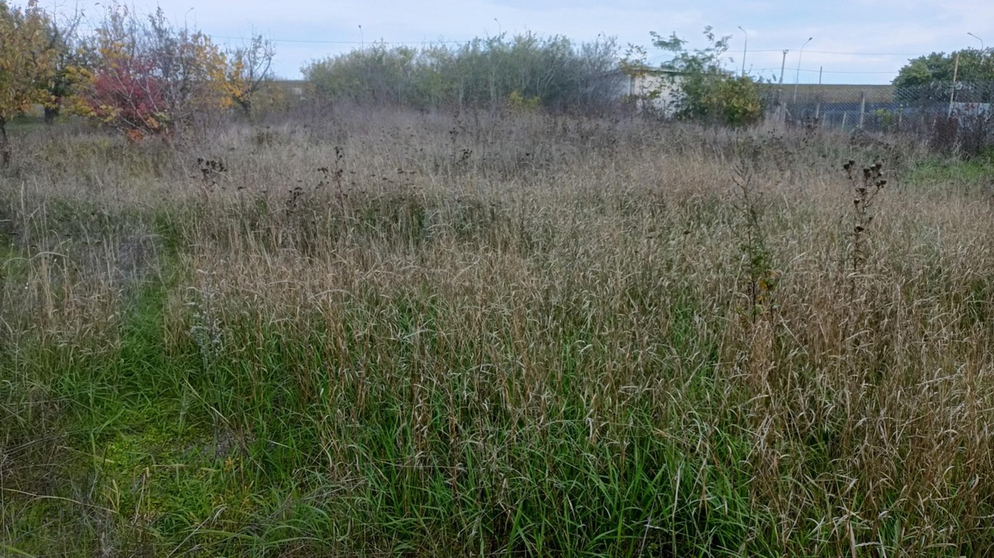 Купить землю, земельный участок за 18 000 000 рублей на хутор Заря