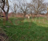 земля 11 сот Выгонная ул.