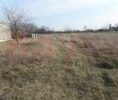 земля 4.5 сот Пушкина ул.