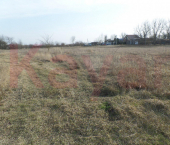 земля 5.63 сот Пушкина ул.