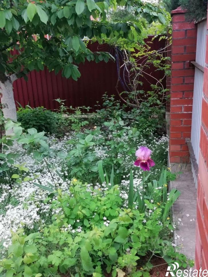 Коттедж/дом улица Мира