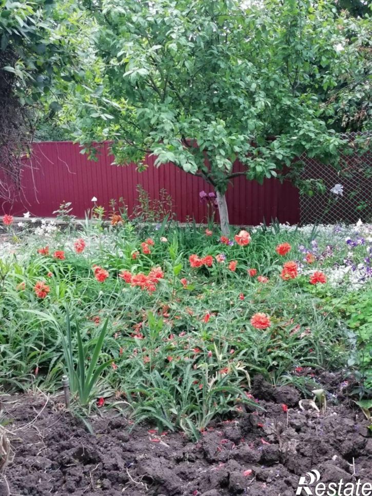 Коттедж/дом улица Мира