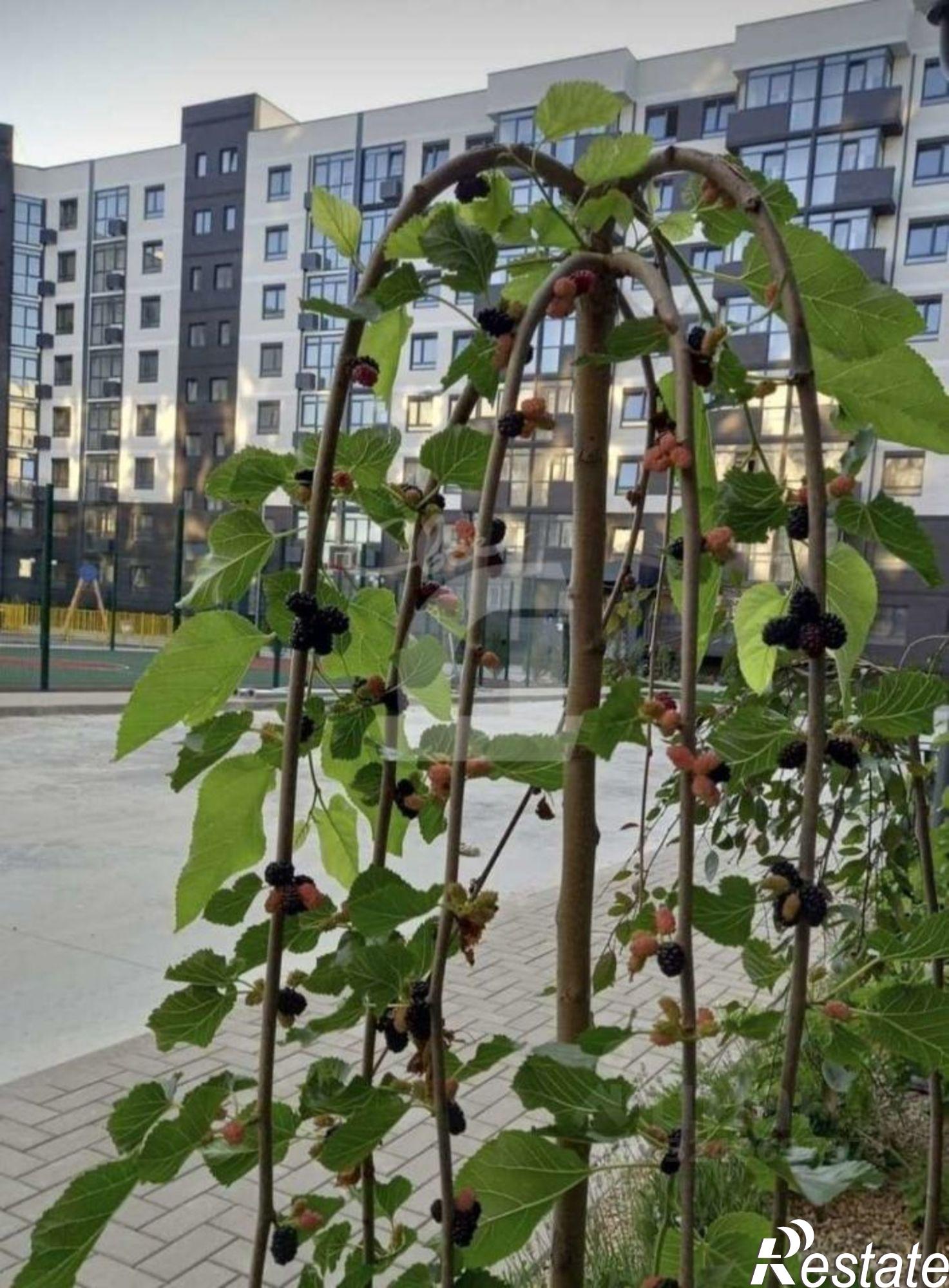 Купить квартиру за 6 500 000 рублей на улица Дальняя,дом 30к1