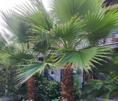 1-комн, 21кв м, этаж 2/3 ул Разина, 46А