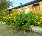 1-комн, 22кв м, этаж 1/1 Краснодарская улица, 170