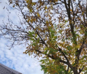 коттедж 102 кв м ул Уральская, 39