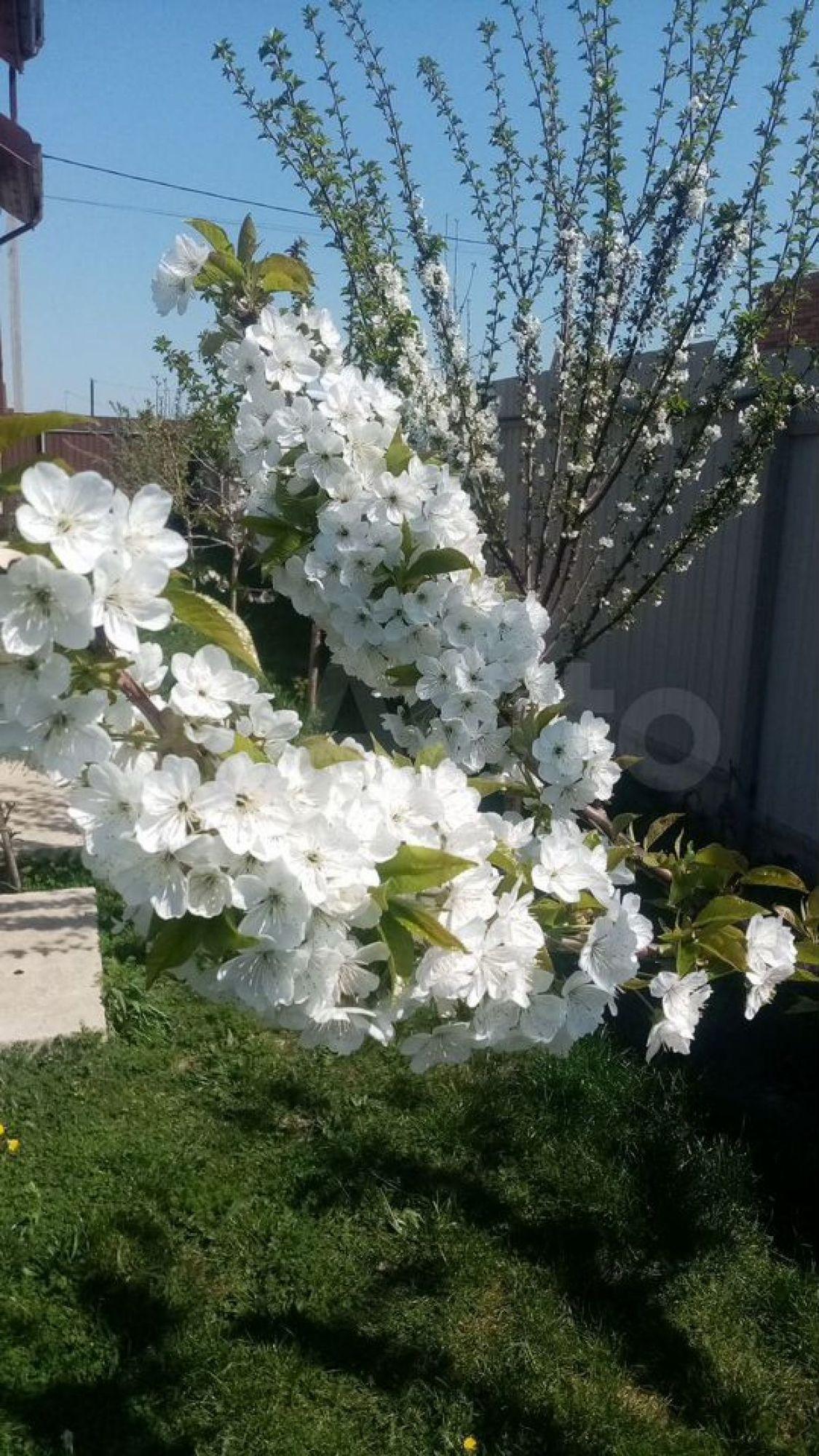 Купить дачу, дом, коттедж за 25 000 000 рублей на Полковая ул