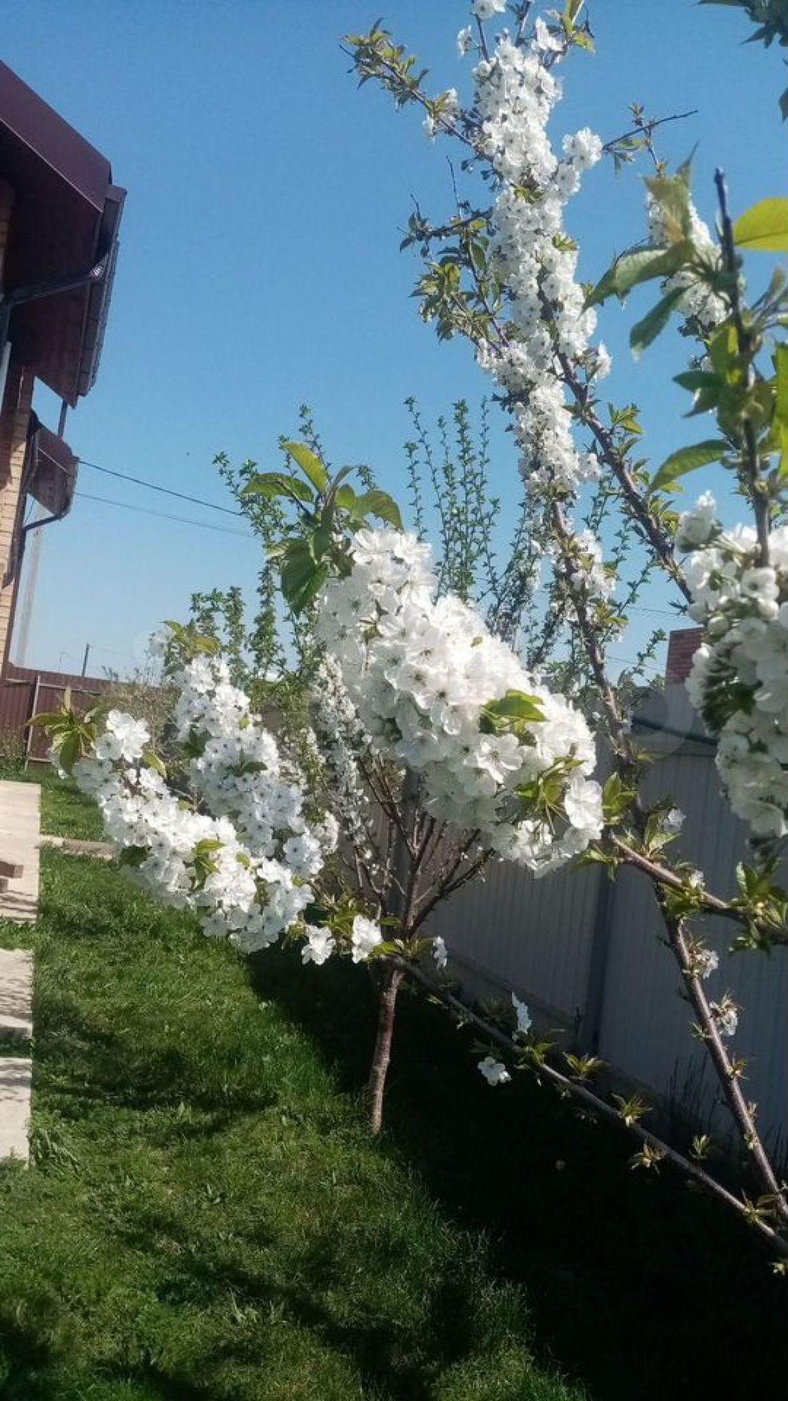 Купить дачу, дом, коттедж за 25 000 000 рублей на Полковая ул