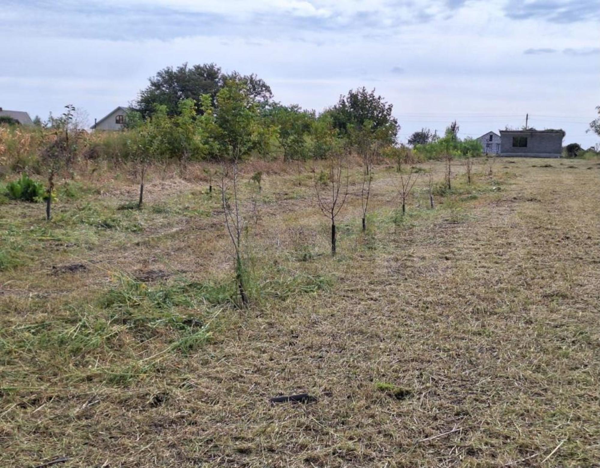 Купить дачу, дом, коттедж за 7 000 000 рублей на Речная ул, 23