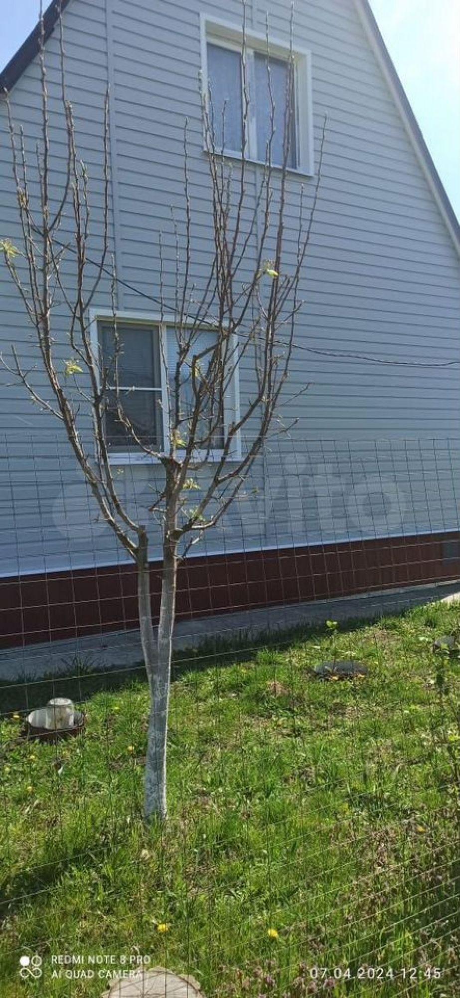 Купить дачу, дом, коттедж за 5 300 000 рублей на Российская ул