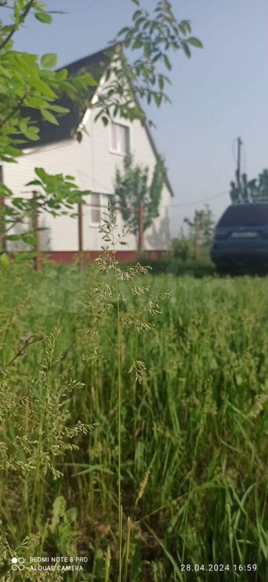 Купить дачу, дом, коттедж за 5 300 000 рублей на Российская ул