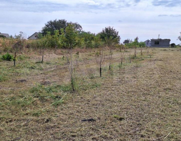 Коттедж/дом Речная ул, 23