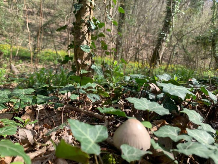 Земельный участок село Сукко