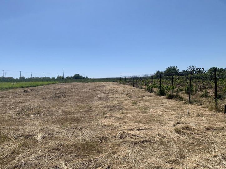 Земельный участок посёлок Суворов-Черкесский