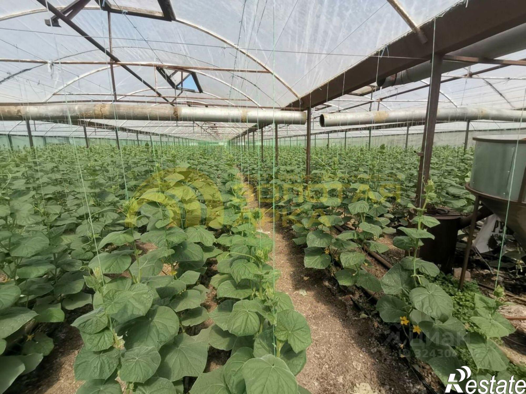 Купить производственную площадь за 14 974 200 рублей на Красноармейский район