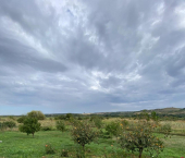 земля 8 сот Шоссейная ул.