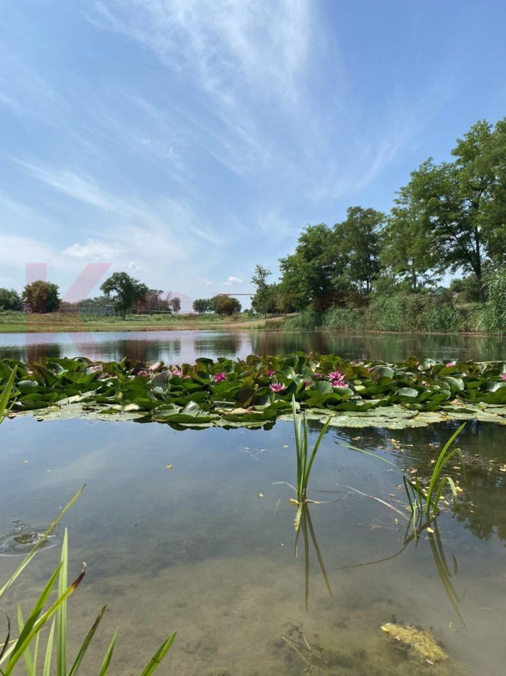 Земельный участок Аргатов