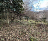 земля 9 сот городской округ Сочи