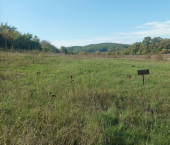 земля 8 сот ул Горького, 4