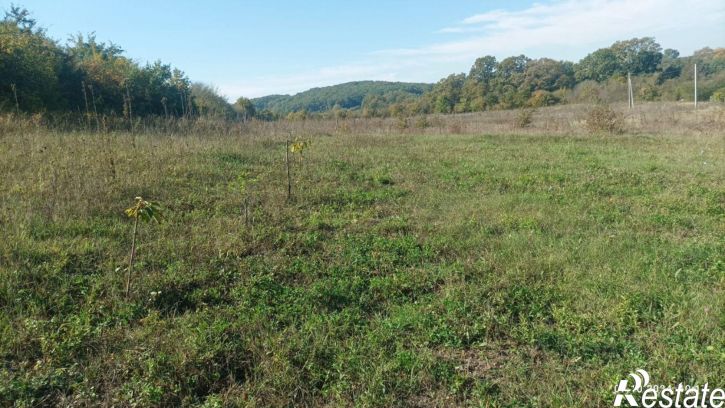 Земельный участок ул Горького, 4,  д. 4