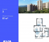 3-комн, 81 кв м, этаж 11/16 СНТ ИВОВ Фронтовик, 100