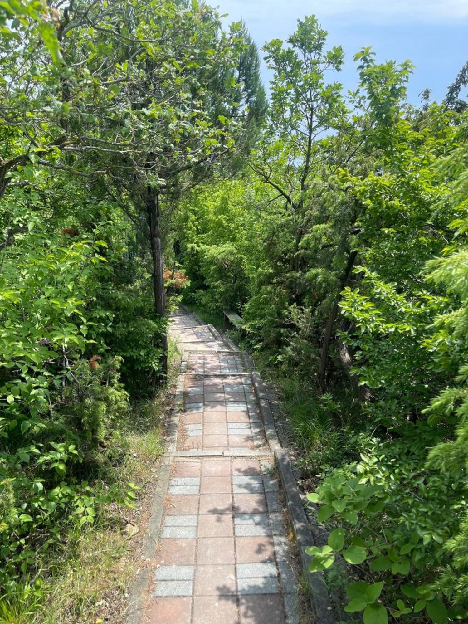 Купить дачу, дом, коттедж за 16 000 000 рублей на Лучистый переулок, д.4