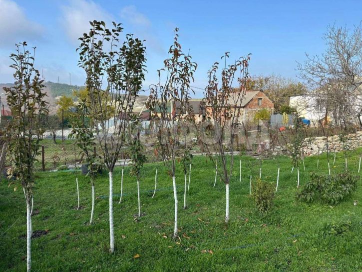 Земельный участок Садовая улица