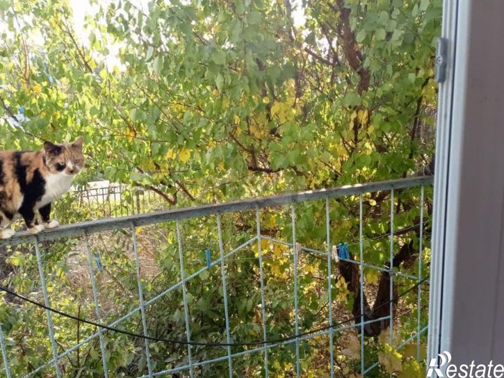 2-комн квартира ул Калинина, 106,  д. 106