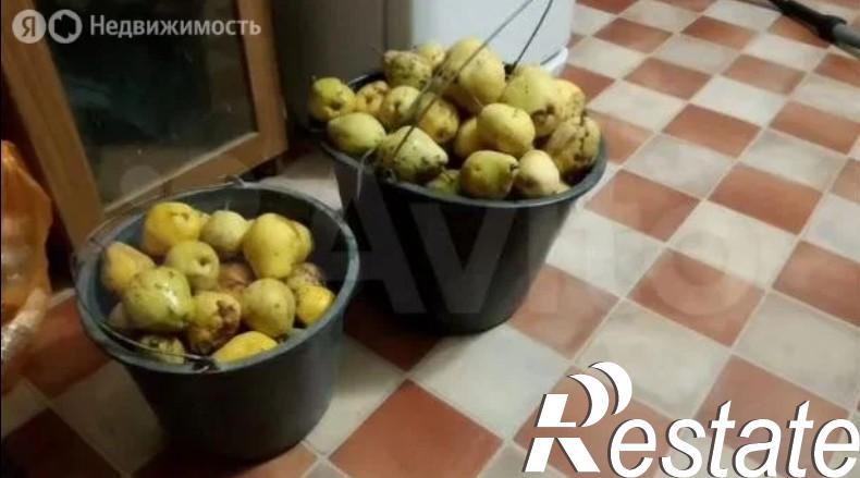 Купить дачу, дом, коттедж за 25 000 рублей на Мичурина