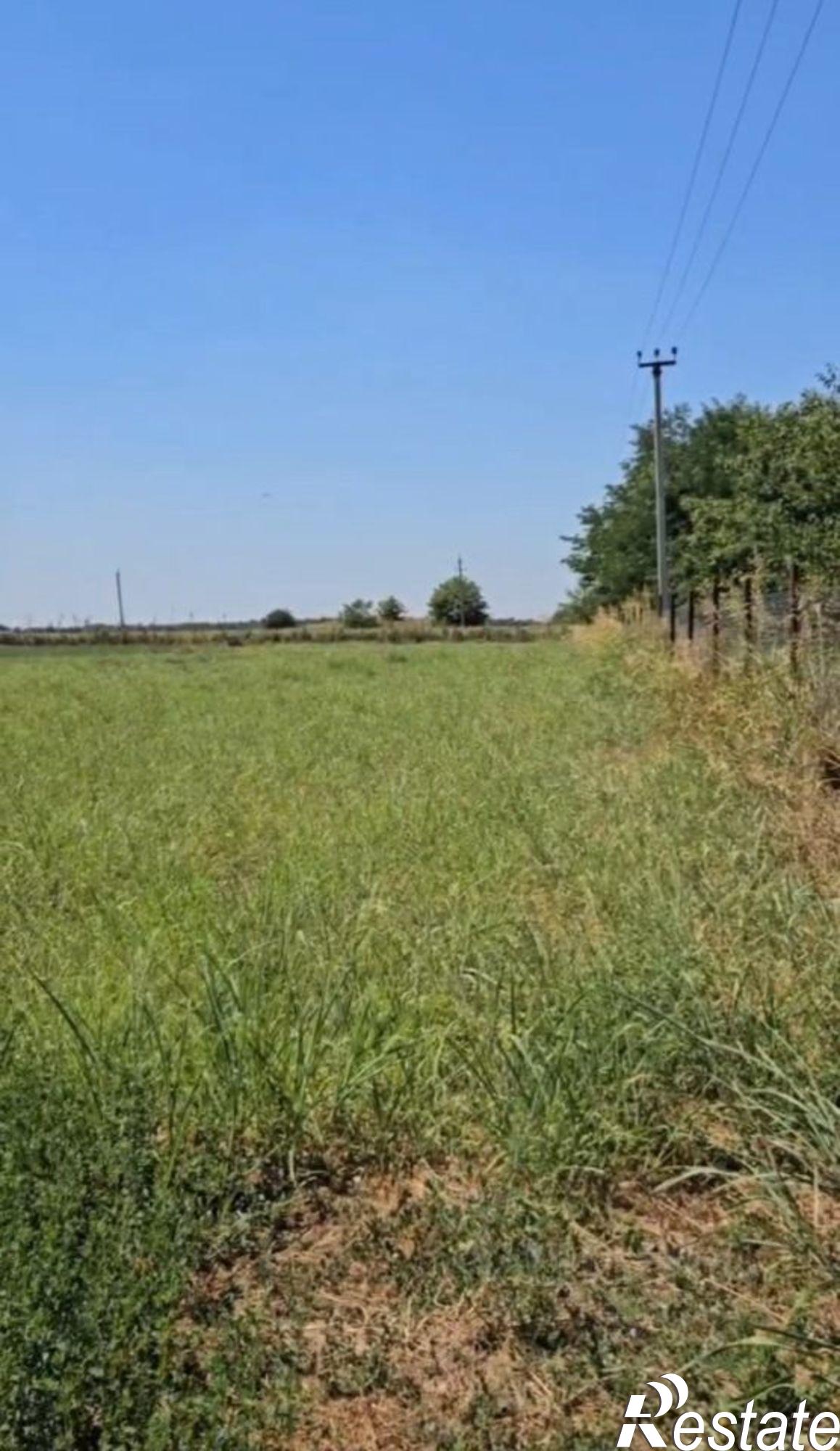 Купить землю, земельный участок за 120 000 рублей на улица Мира, 26/3