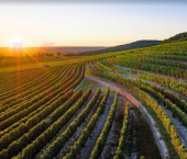 земля 67000 сот Раевская ст-ца