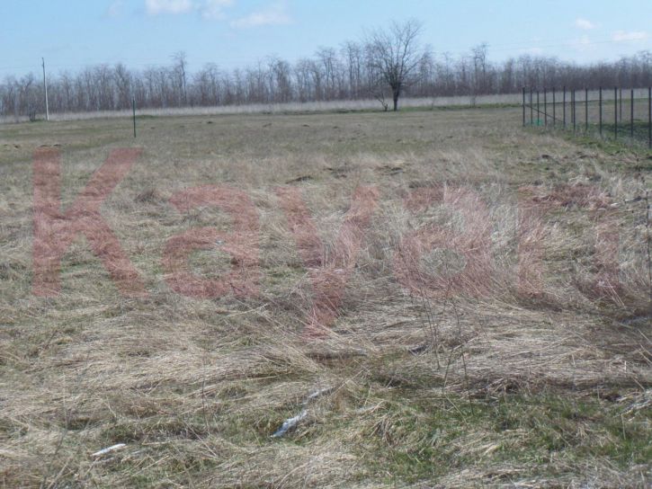 Земельный участок Пушкина ул.