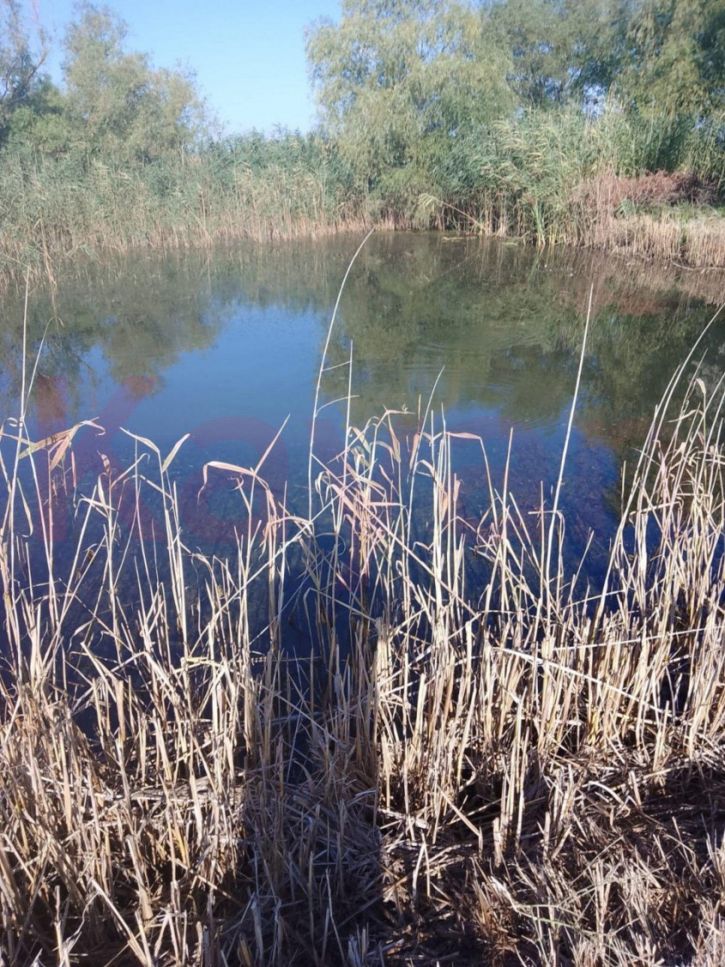 Земельный участок Черный Ерик