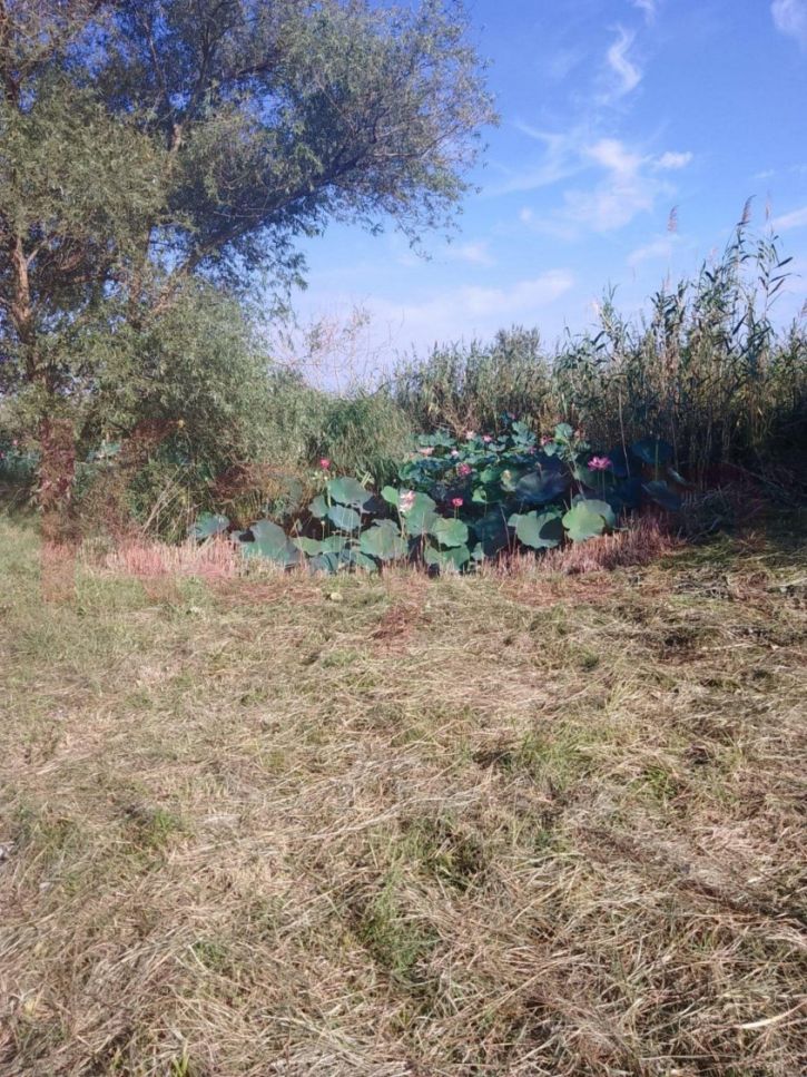 Земельный участок Черный Ерик