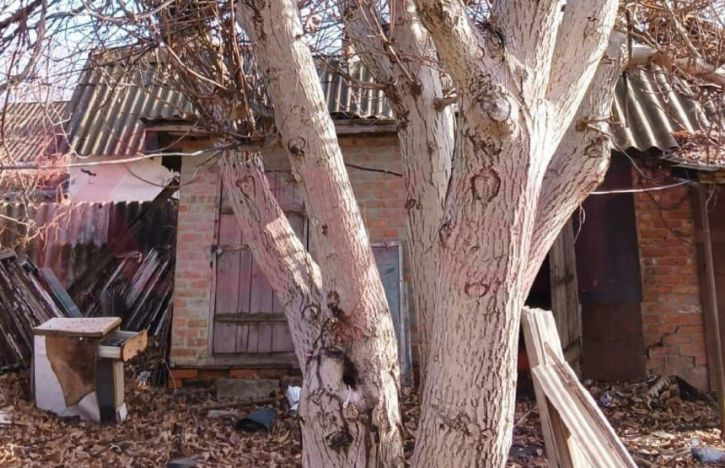 Коттедж/дом Канеловская ул.