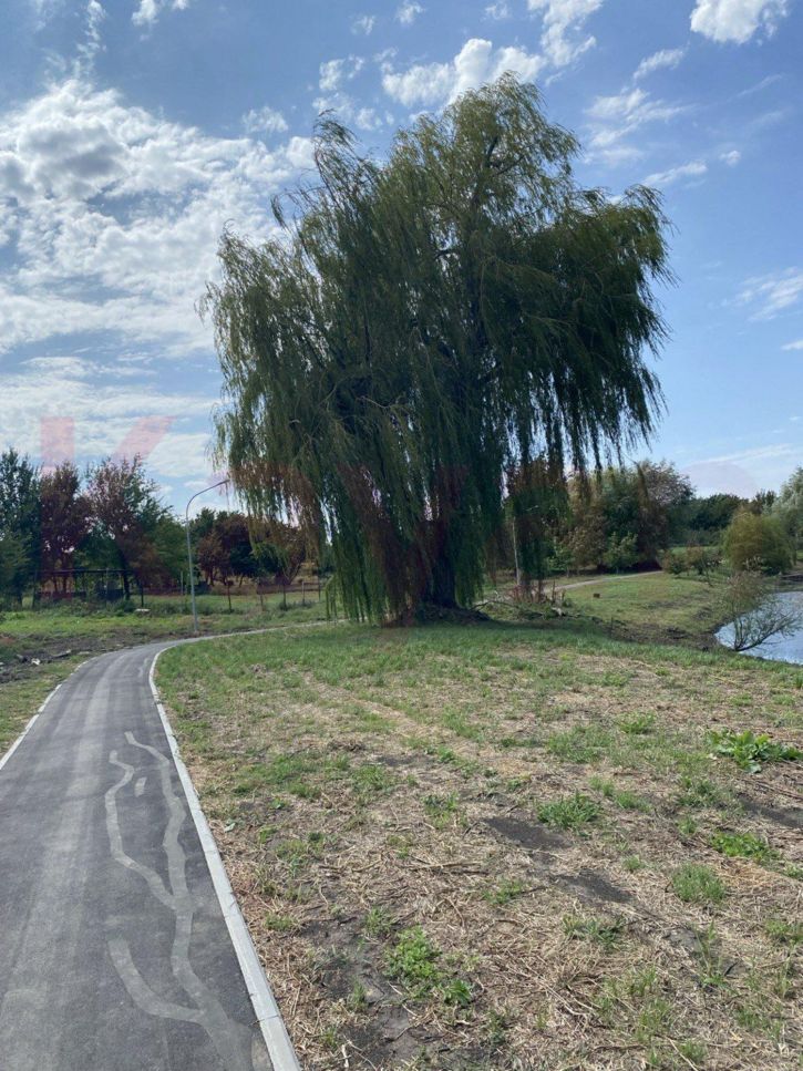 Земельный участок Аргатов