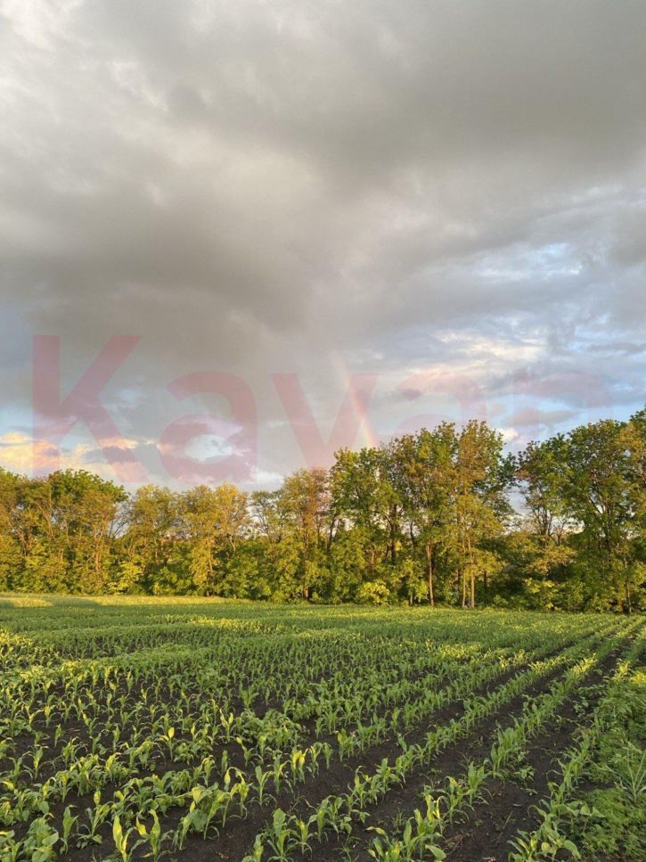 Земельный участок Аргатов