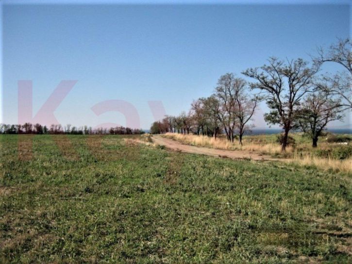 Земельный участок Ильич