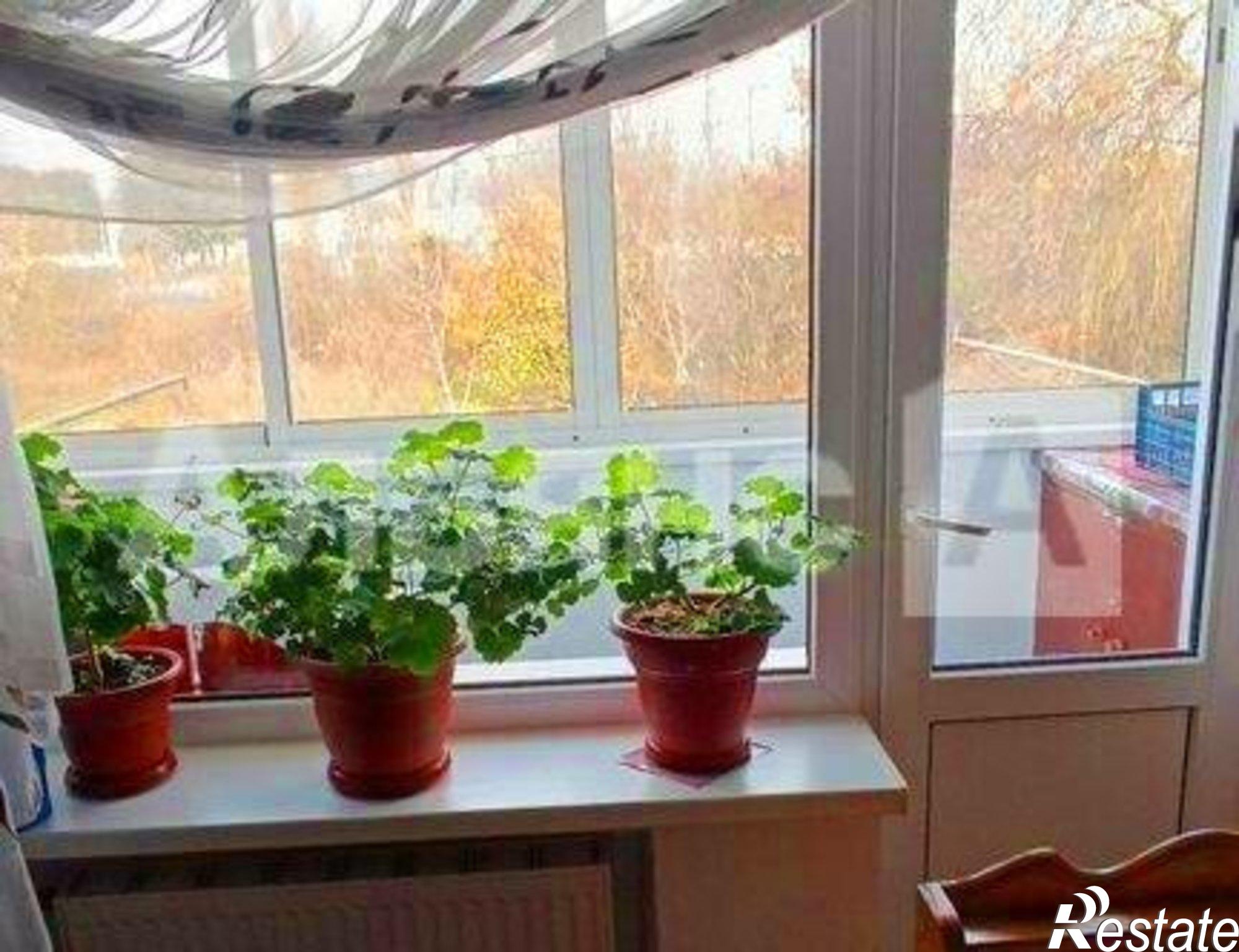 Купить квартиру за 5 500 000 рублей на ул Дружбы, 21