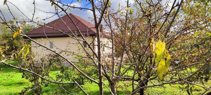 Коттедж/дом Автодорога Анапская-Гостагаевская (Анапская)